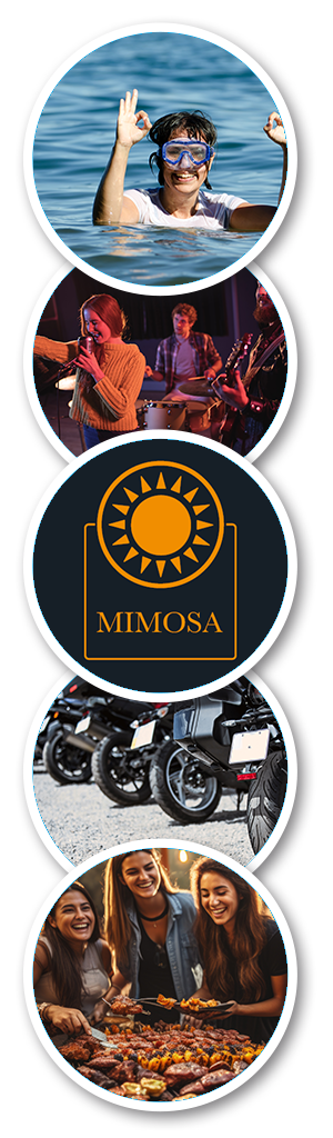 lugenauer-see-kiosk-mimosa-action_02